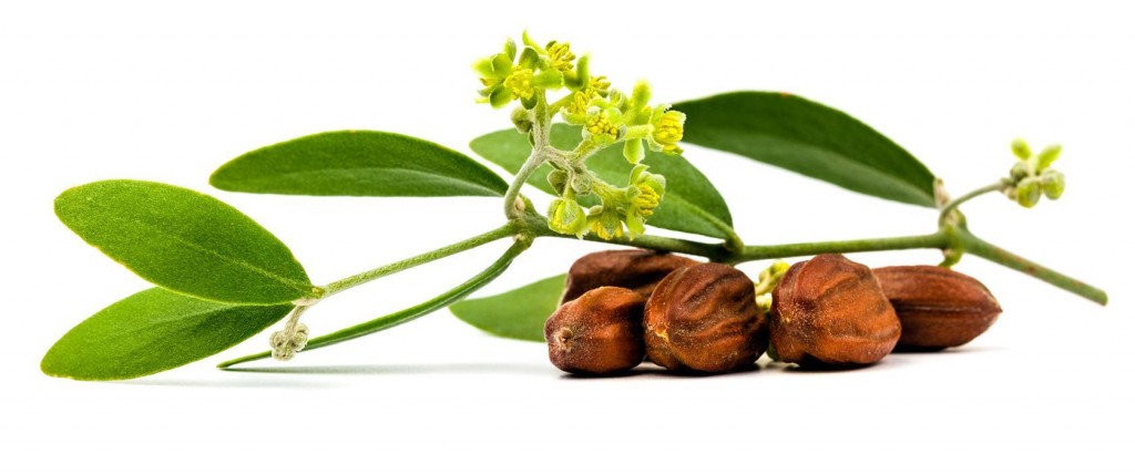 زيت الجوجوبا -JojobaOil