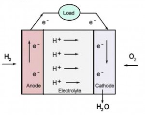 hydrogen-fuel cells
